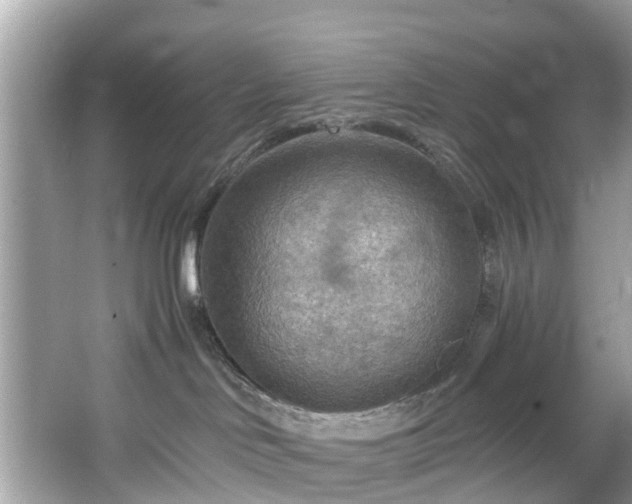 X0000067470046200604101210