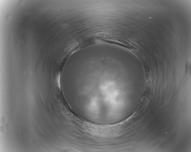 X0000067470047200604101210