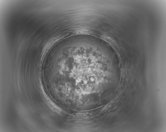 X0000067470049200604101209