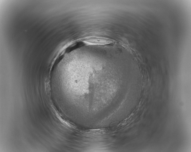 X0000067470050200604101209