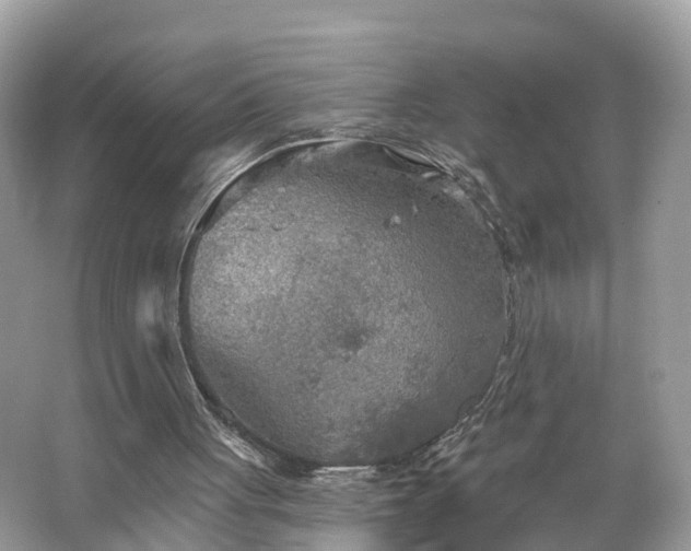 X0000067470051200604101209