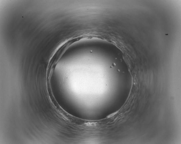 X0000067470052200604101209