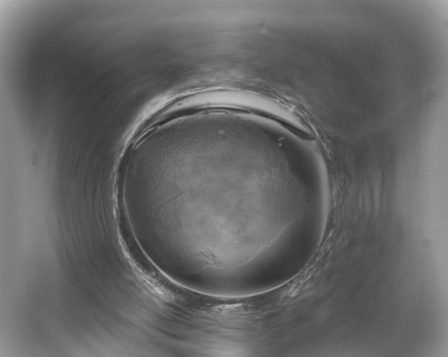 X0000067470054200604101209