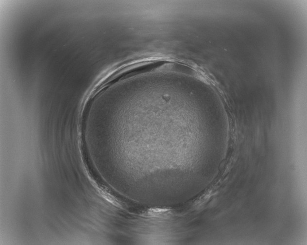 X0000067470055200604101209