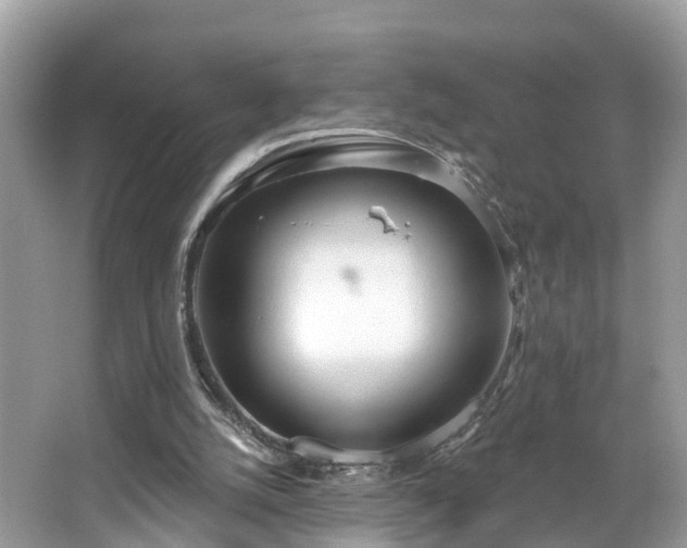 X0000067470056200604101209