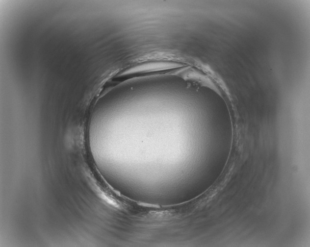 X0000067470057200604101209