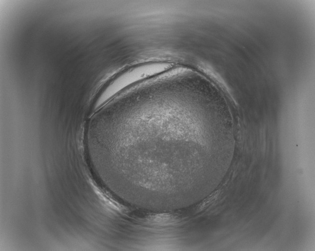 X0000067470058200604101209