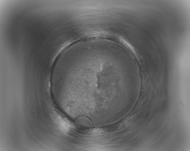 X0000067470059200604101209