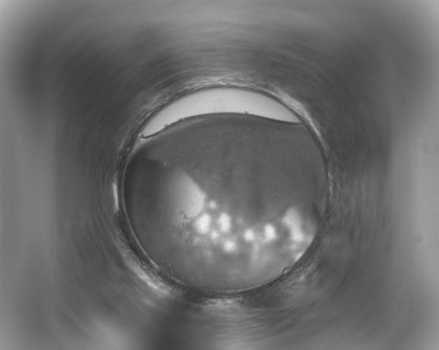 X0000067470061200604101210