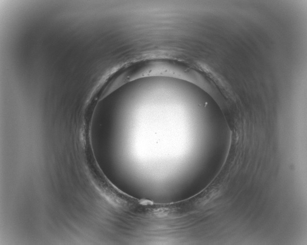 X0000067470064200604101210