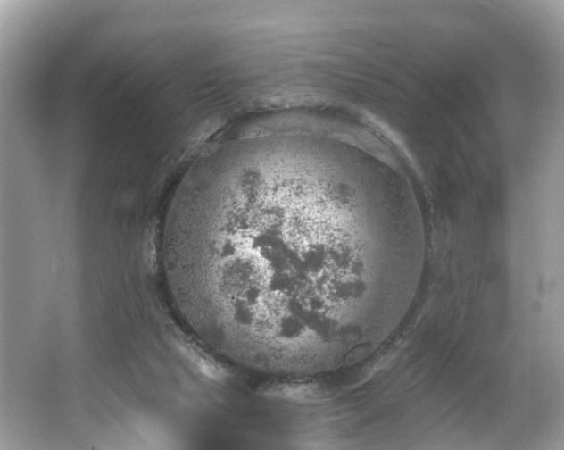 X0000067470065200604101210