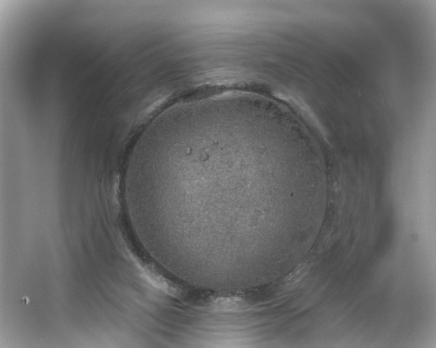 X0000067470066200604101210