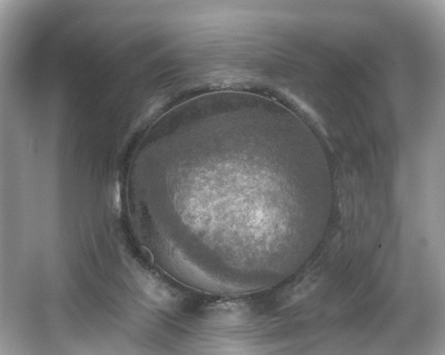 X0000067470067200604101210