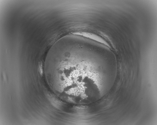 X0000067470069200604101210