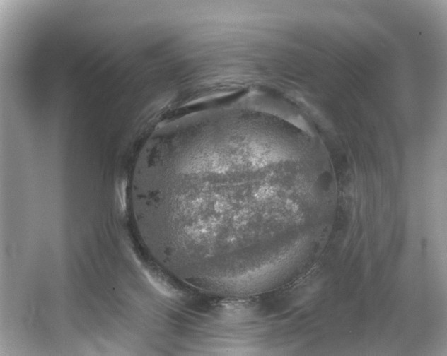 X0000067470070200604101210