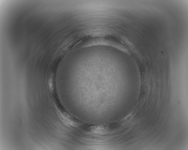 X0000067470074200604101210