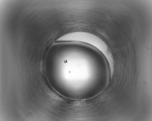 X0000067470077200604101210