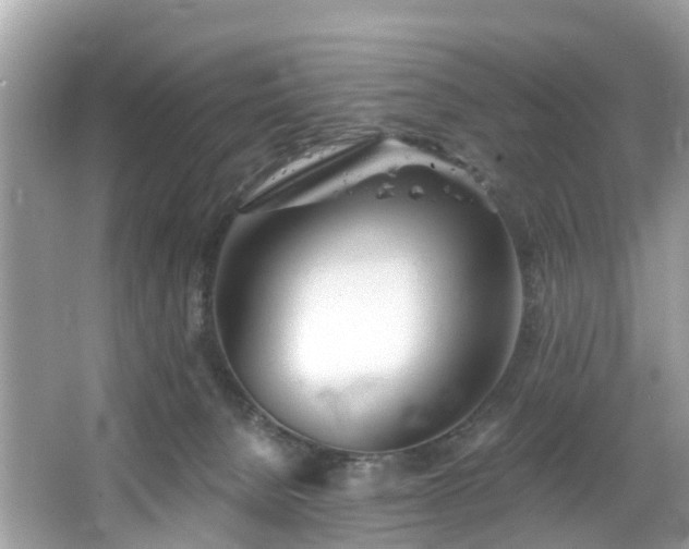 X0000067470080200604101210