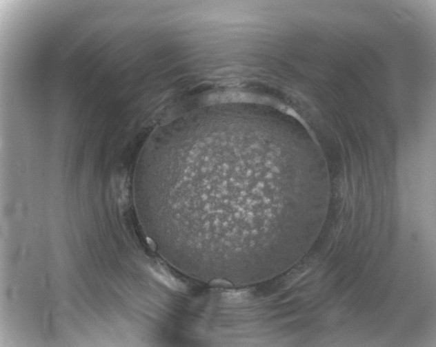 X0000067470081200604101210