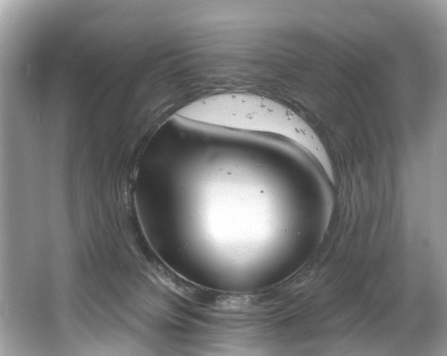 X0000067470084200604101210