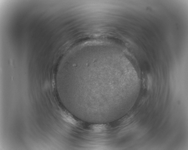 X0000067470085200604101210