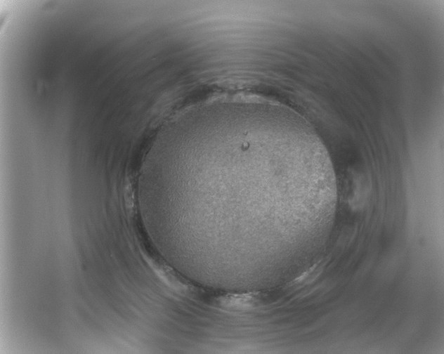 X0000067470086200604101210