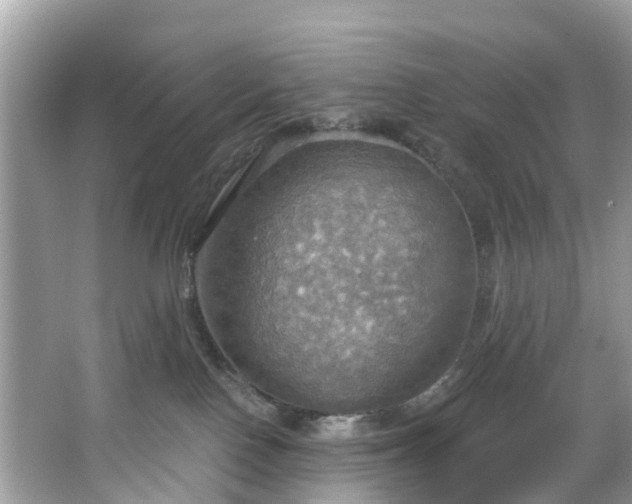 X0000067470090200604101210