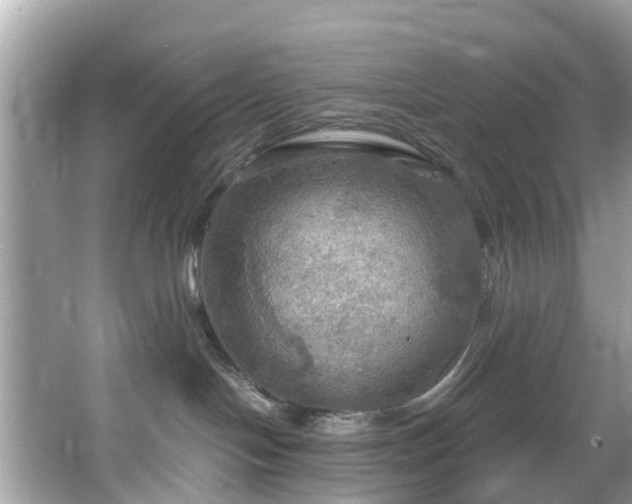 X0000067470094200604101210