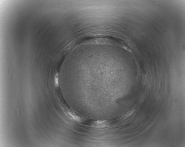 X0000067470095200604101210