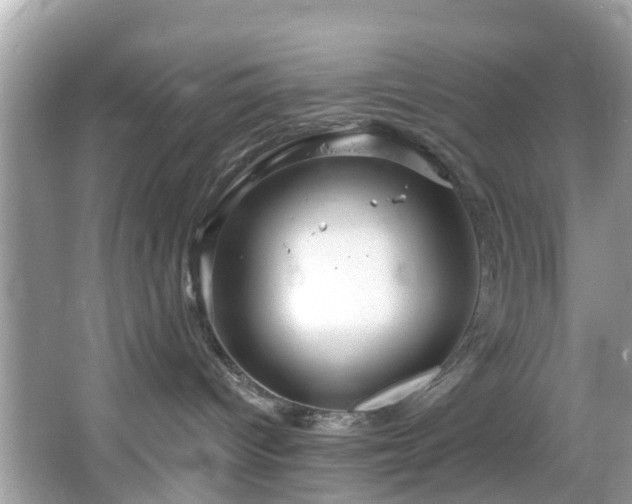 X0000067470096200604101210