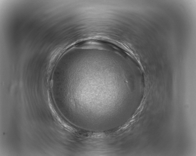 X0000067470097200604101209