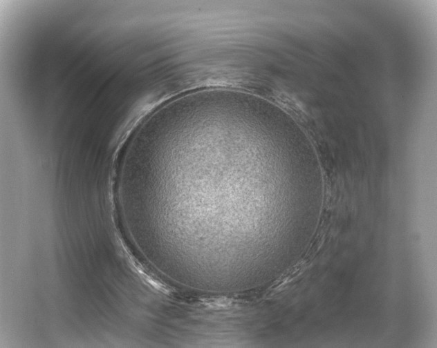 X0000067470098200604101209