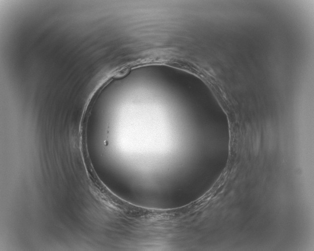 X0000067470100200604101209