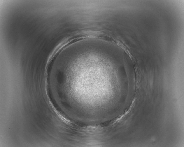 X0000067470101200604101209