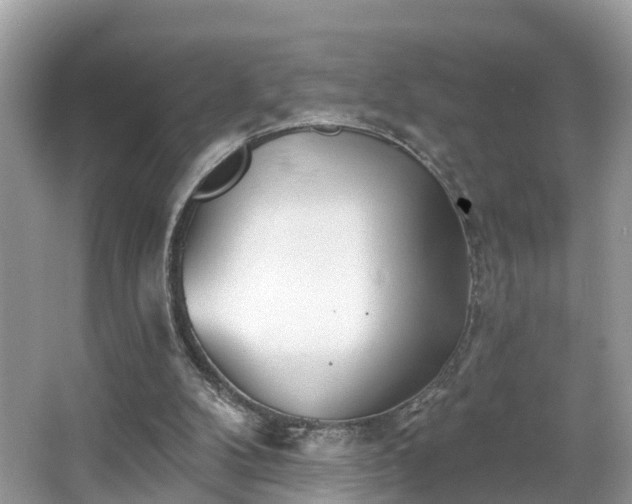 X0000067470104200604101209