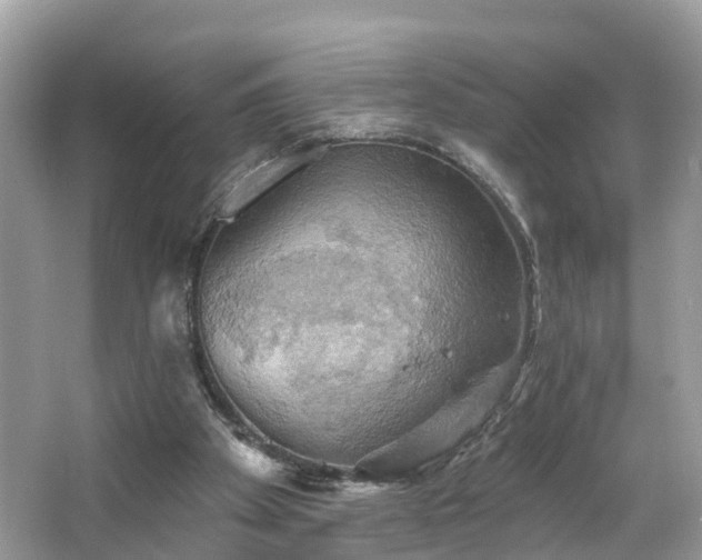 X0000067470105200604101209