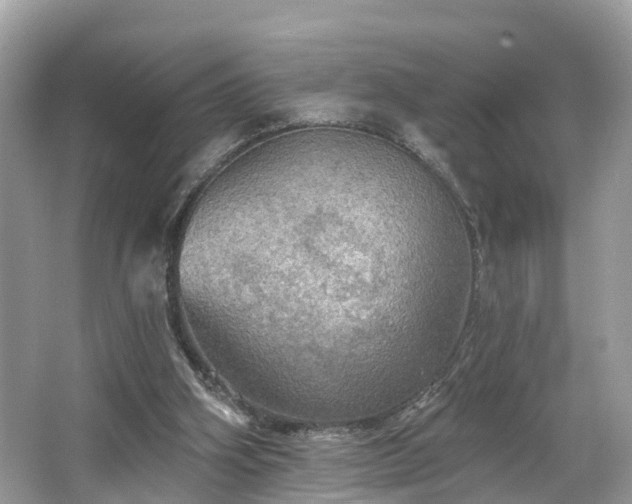 X0000067470106200604101209