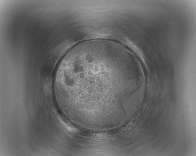 X0000067470107200604101209