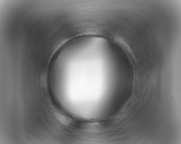 X0000067470108200604101209