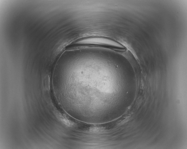 X0000067470109200604101209