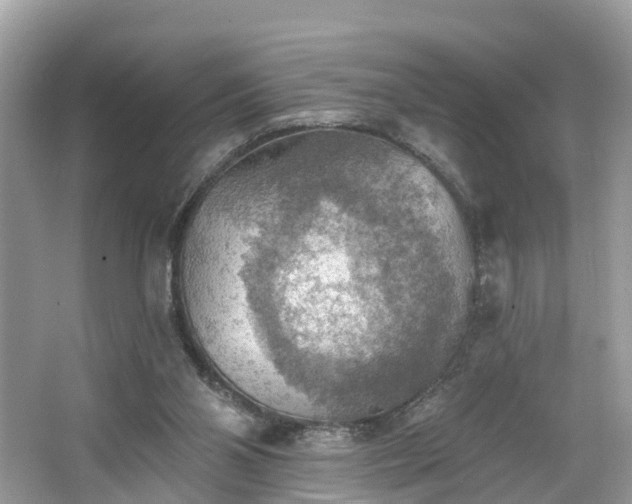 X0000067470110200604101209