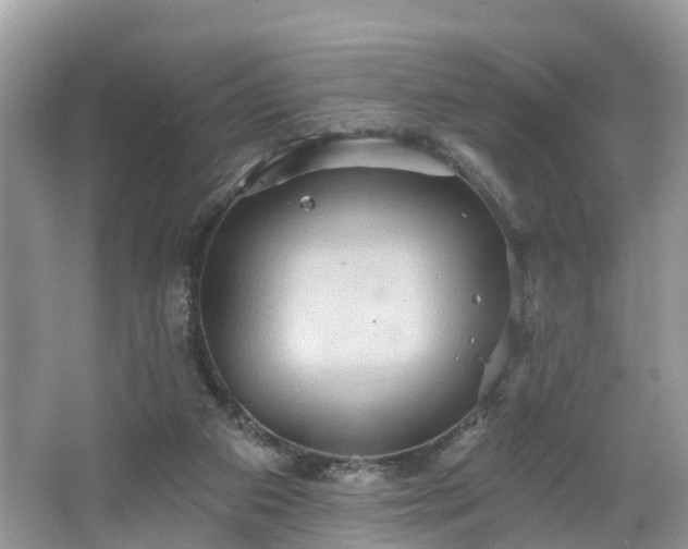 X0000067470113200604101209