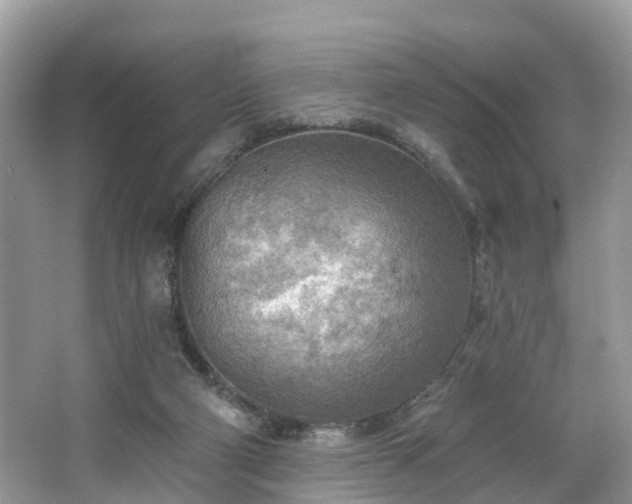 X0000067470114200604101209