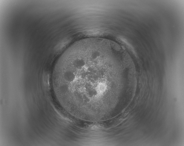 X0000067470115200604101209