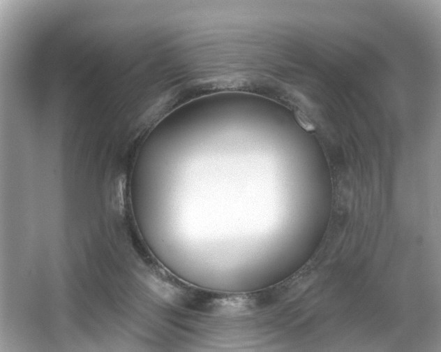 X0000067470118200604101209