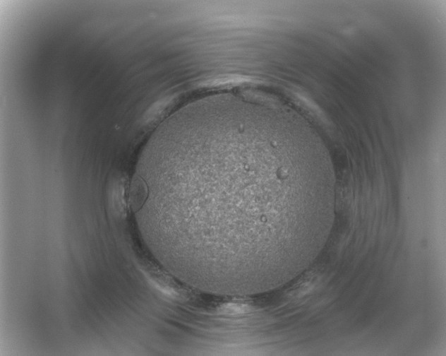 X0000067470119200604101209