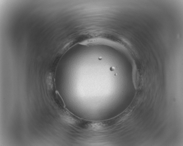 X0000067470121200604101209