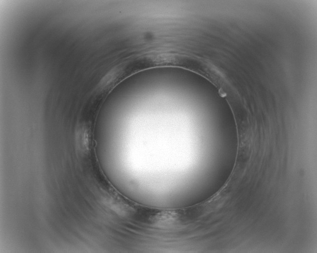 X0000067470124200604101209