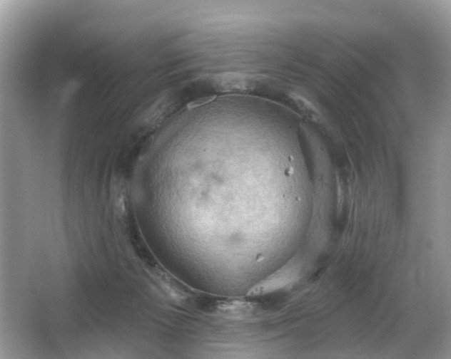 X0000067470125200604101209