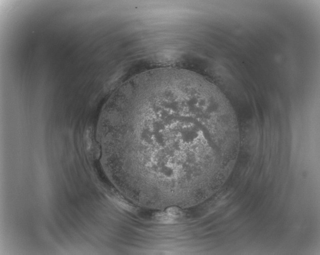 X0000067470131200604101209